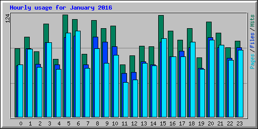 Hourly usage for January 2016
