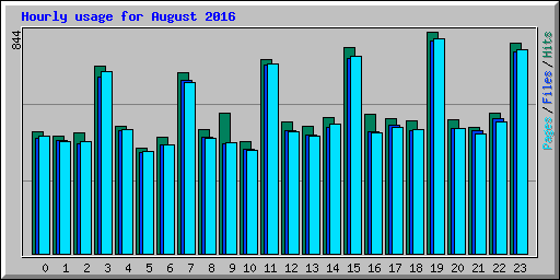 Hourly usage for August 2016