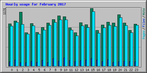 Hourly usage for February 2017