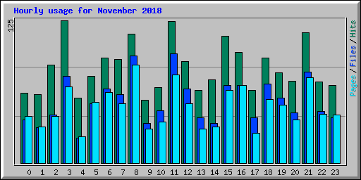 Hourly usage for November 2018