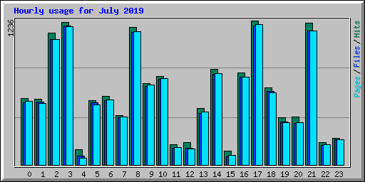Hourly usage for July 2019